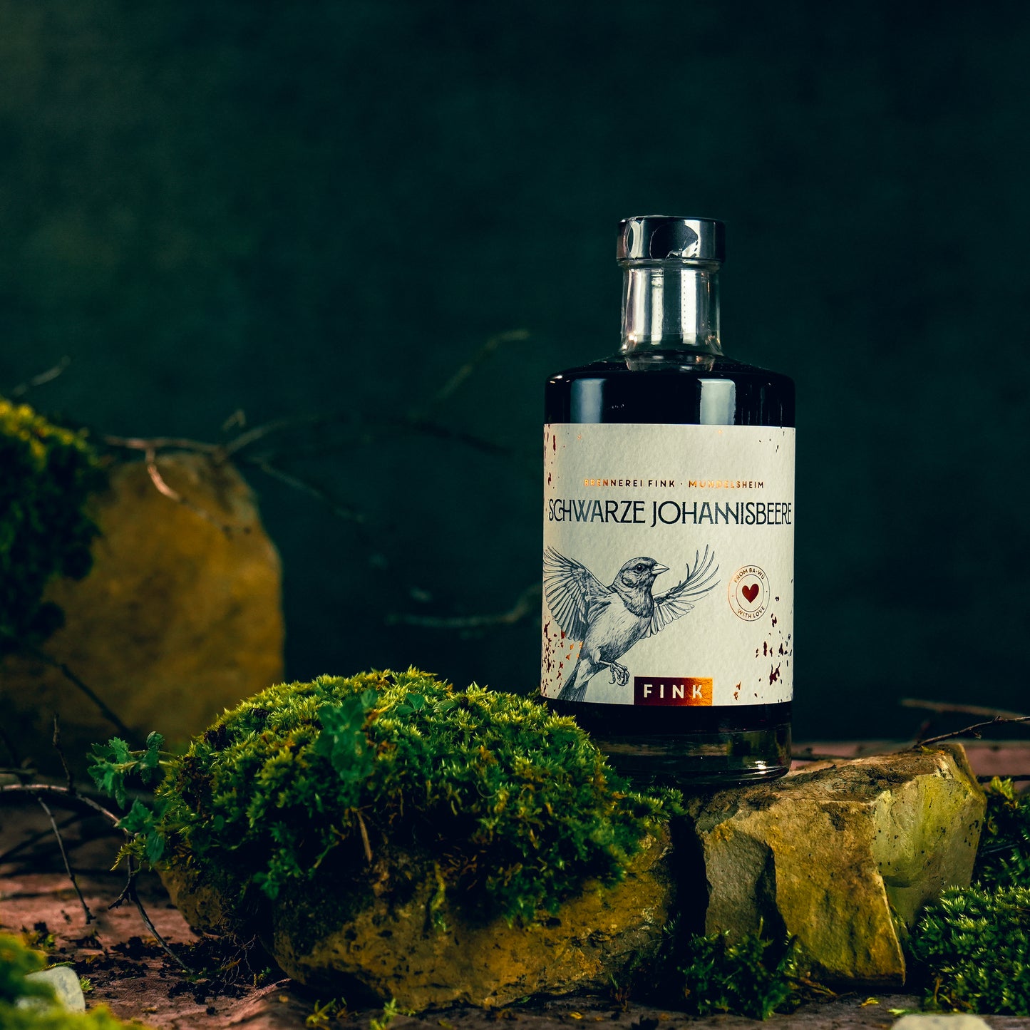 Schwarze Johannisbeere